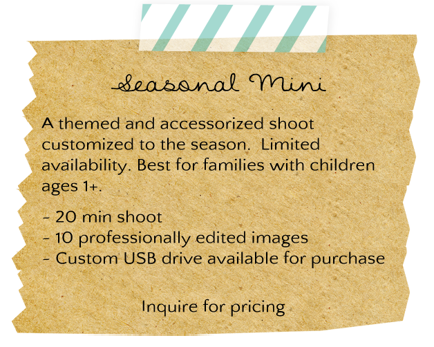 Seasonal Mini